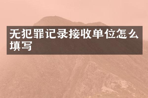 无犯罪记录接收单位怎么填写