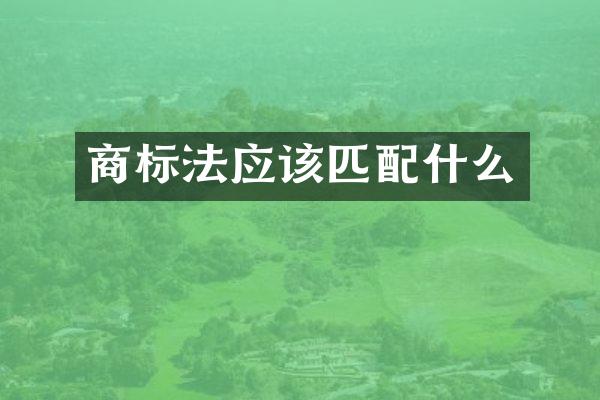 商标法应该匹