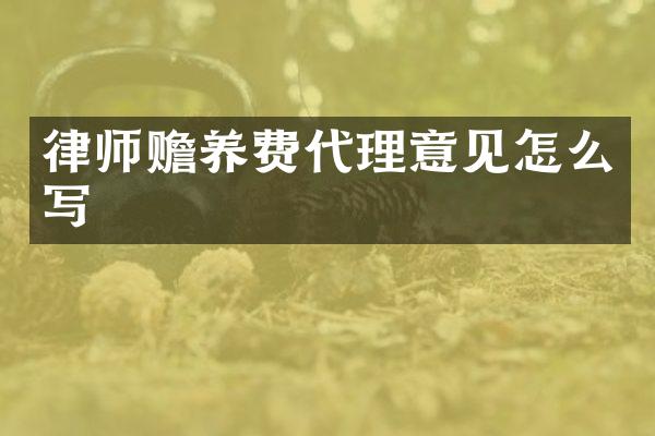 律师赡养费代理意见怎么写