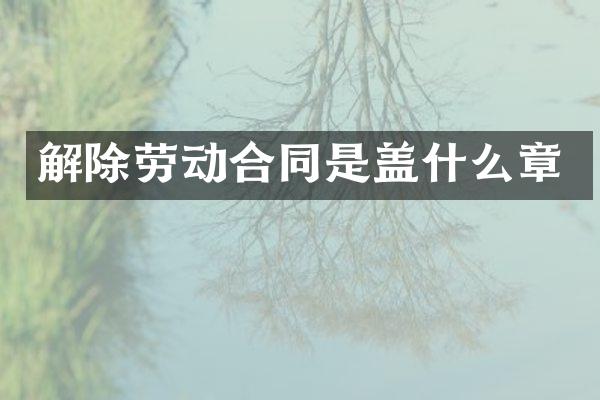 解除劳动合同是盖什么章