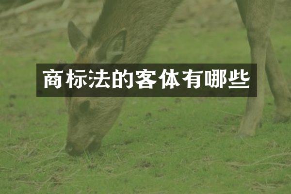 商标法的客体有哪些