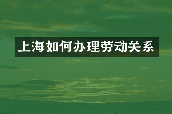 上海如何办理劳动关系