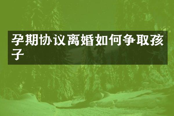 孕期协议离婚如何争取孩子