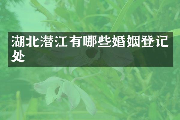 湖北潜江有哪些婚姻登记处