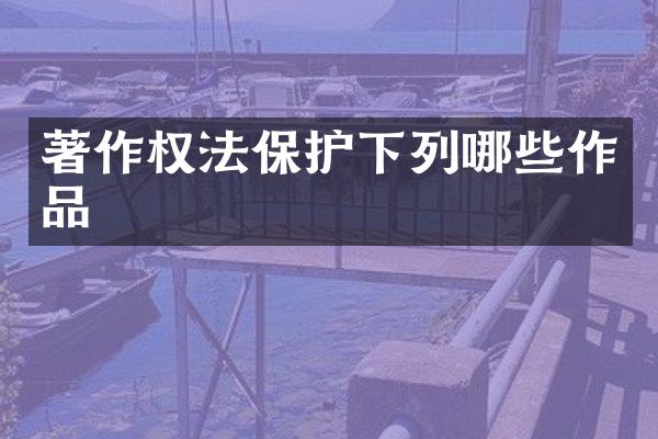 著作权法保护下列哪些作品