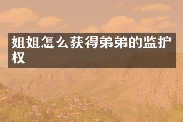 姐姐怎么获弟的监护权