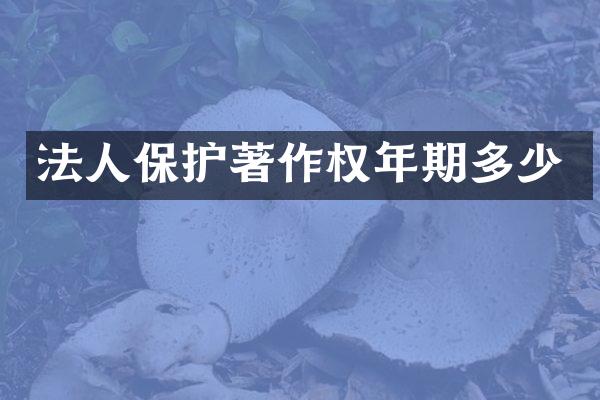 法人保护著作权年期多少