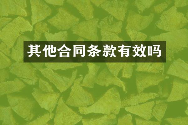 其他合同条款有效吗