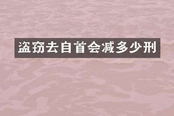 盗窃去自首会减多少刑