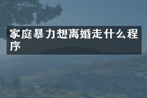 家庭暴力想离婚走什么程序