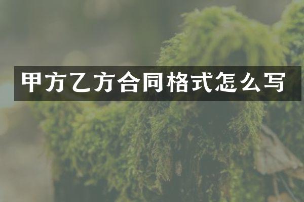 甲方乙方合同格式怎么写