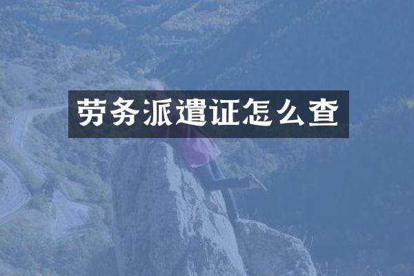 劳务派遣证怎么查