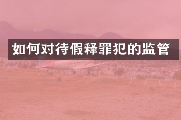如何对待假释罪犯的监管