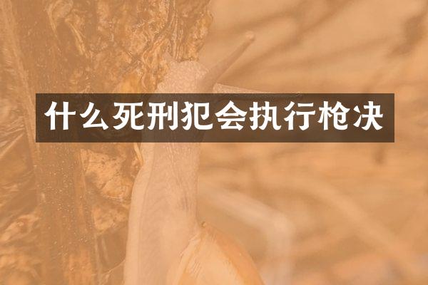 什么死刑犯会执行决