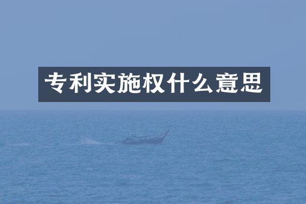 专利实施权什么意思