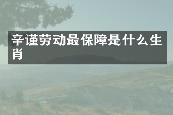 辛谨劳动最保障是什么生肖
