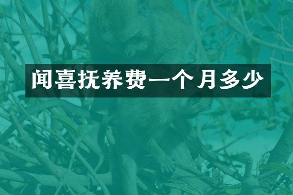 闻喜抚养费一个月多少