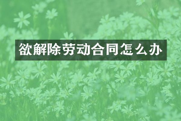欲解除劳动合同怎么办