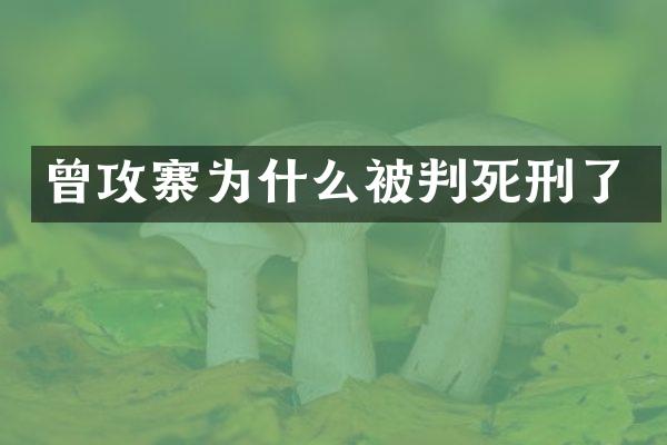 曾攻寨为什么被判死刑了