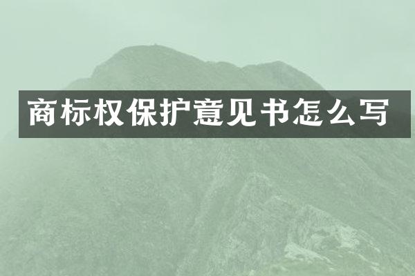 商标权保护意见书怎么写