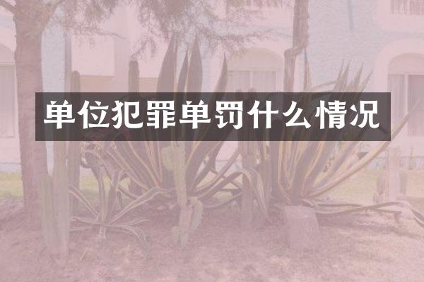 单位犯罪单罚什么情况