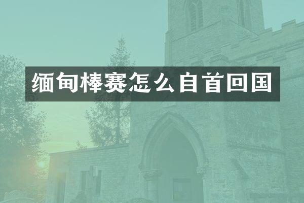 缅甸棒赛怎么自首回国