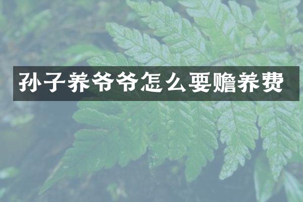 孙子养爷爷怎么要赡养费