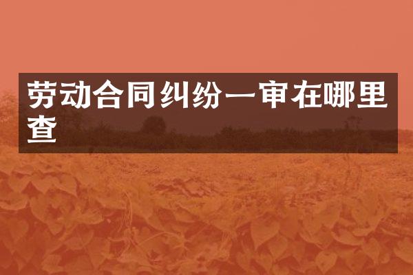 劳动合同纠纷一审在哪里查