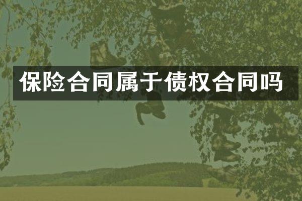 保险合同属于债权合同吗