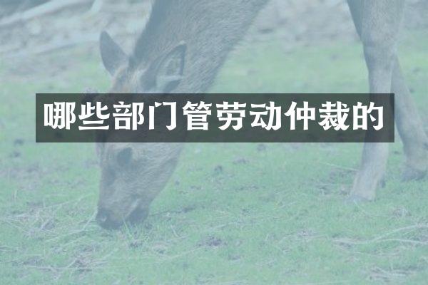 哪些部门管劳动仲裁的