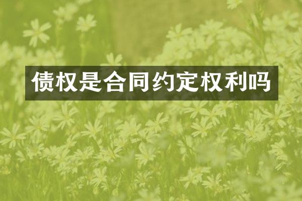 债权是合同约定权利吗