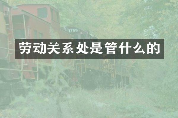 劳动关系处是管什么的