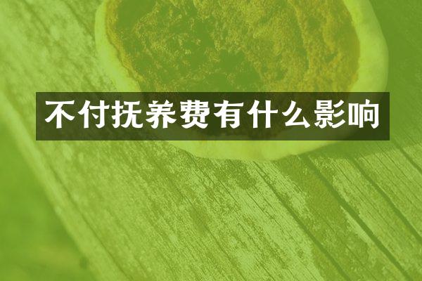 不付抚养费有什么影响