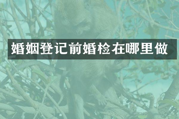 婚姻登记前在哪里做