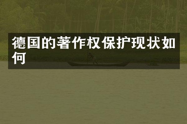 德国的著作权保护现状如何