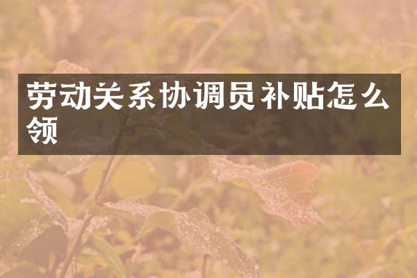劳动关系协调员补贴怎么领