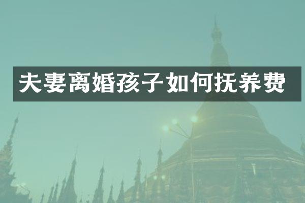 夫妻离婚孩子如何抚养费