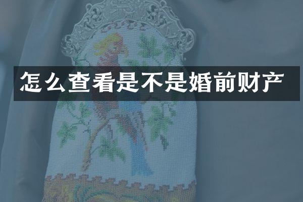 怎么查看是不是婚前财产