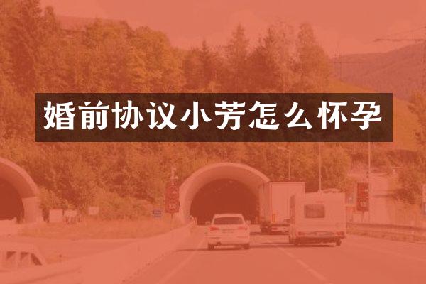 婚前协议小芳怎么怀孕