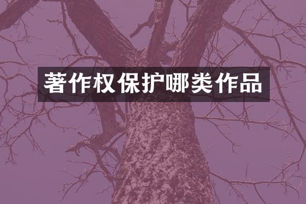 著作权保护哪类作品