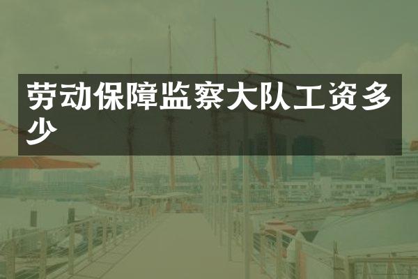 劳动保障监察大队工资多少