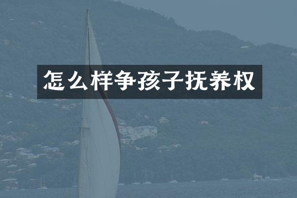 怎么样争孩子抚养权
