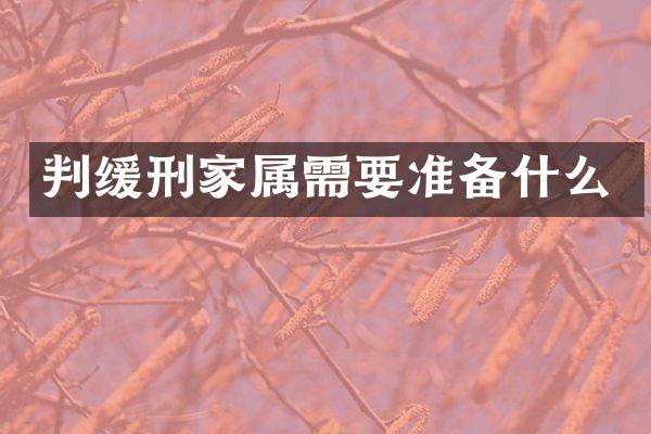 判缓刑家属需要准备什么