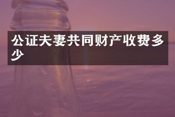 公证夫妻共同财产收费多少