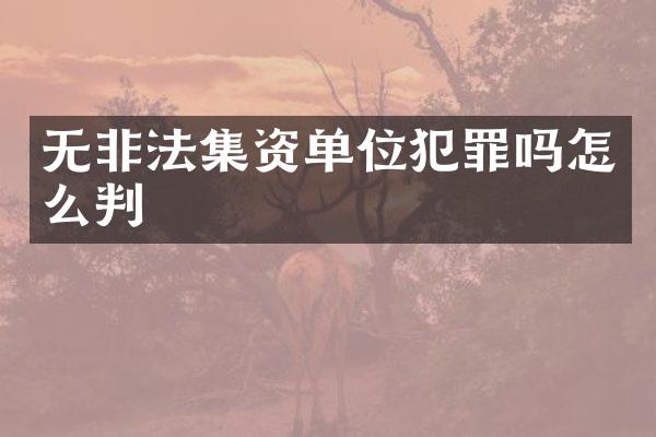 无非法集资单位犯罪吗怎么判