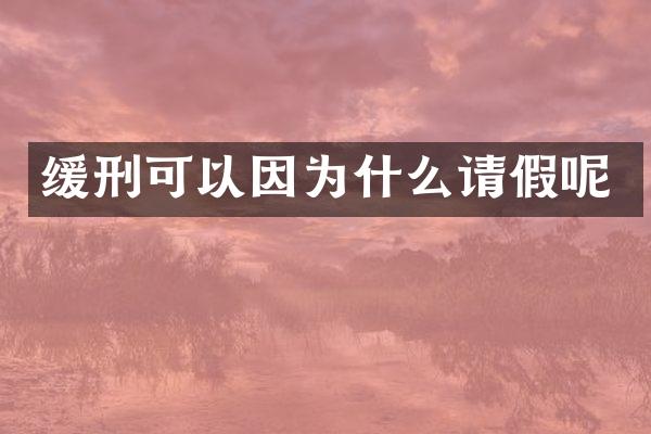 缓刑可以因为什么请假呢