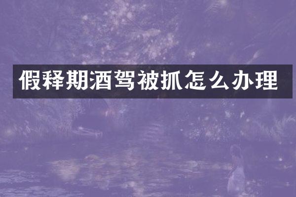 假释期酒驾被抓怎么办理