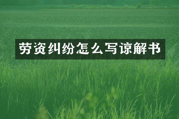 劳资纠纷怎么写谅解书