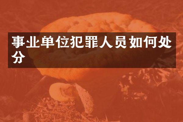 事业单位犯罪人员如何处分