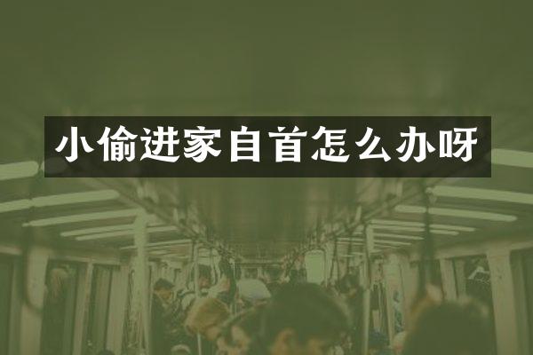 小偷进家自首怎么办呀